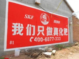 咸宁刷墙广告”蕴含了时代命题
