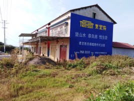 咸宁必须知道的墙体广告形势