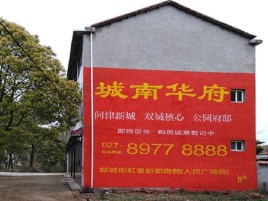 咸宁百分之90的人都不了解的农村墙体广告