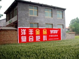 咸宁如何让墙体广告展现最大化效果