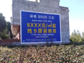 咸宁墙体广告的好处